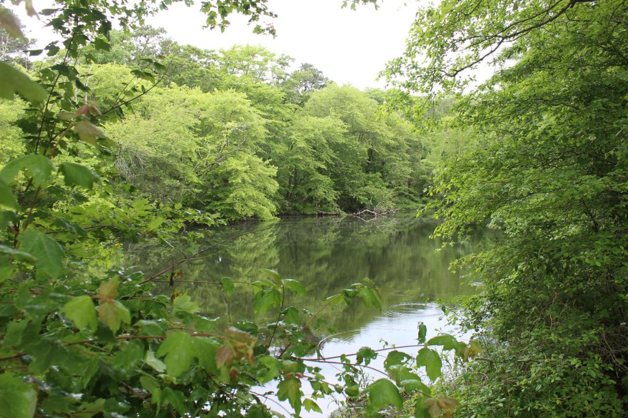 بورن Herring Run Cabins And Inn المظهر الخارجي الصورة