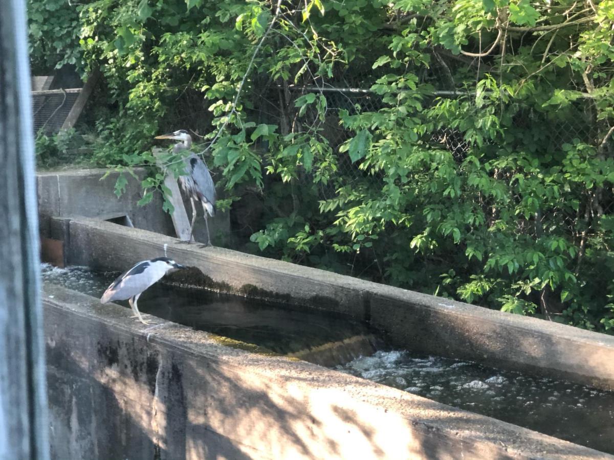 بورن Herring Run المظهر الخارجي الصورة