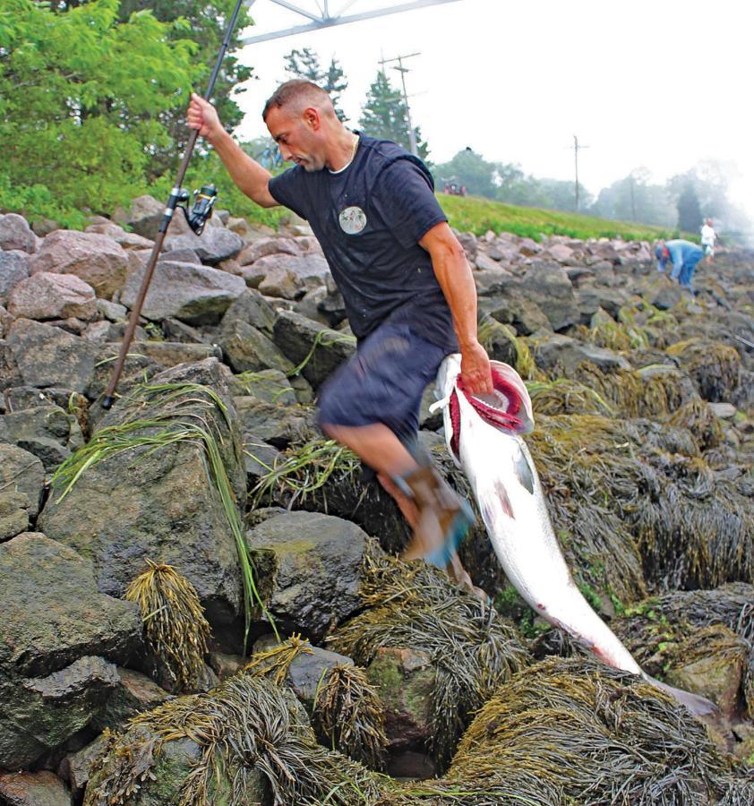بورن Herring Run المظهر الخارجي الصورة
