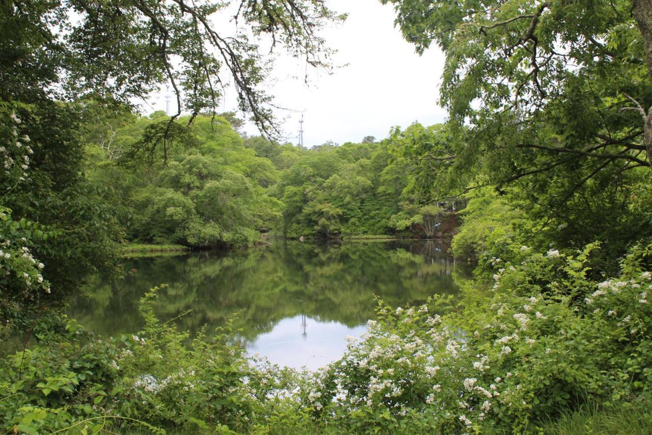 بورن Herring Run Cabins And Inn المظهر الخارجي الصورة